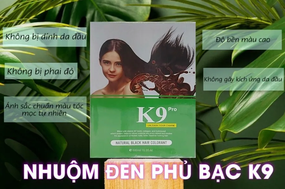 home banner