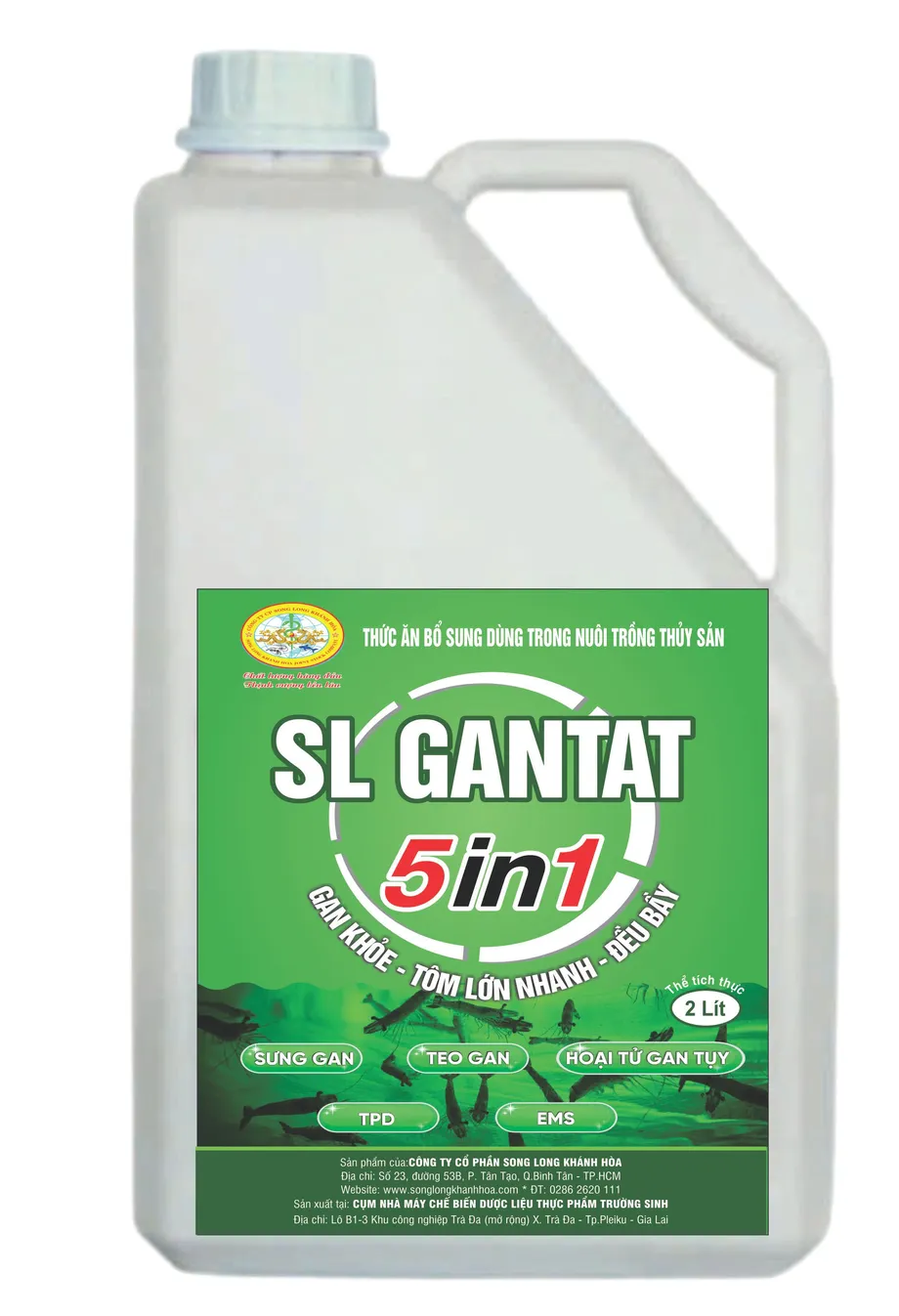 home banner