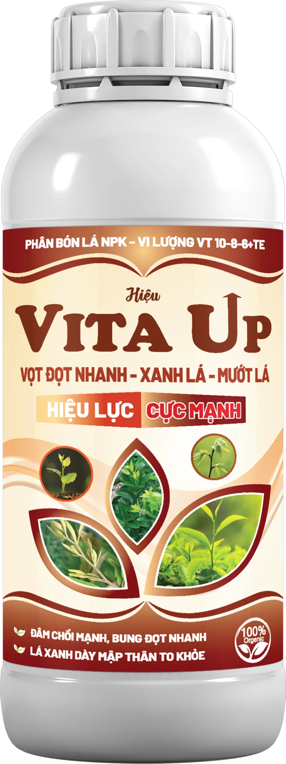 home banner