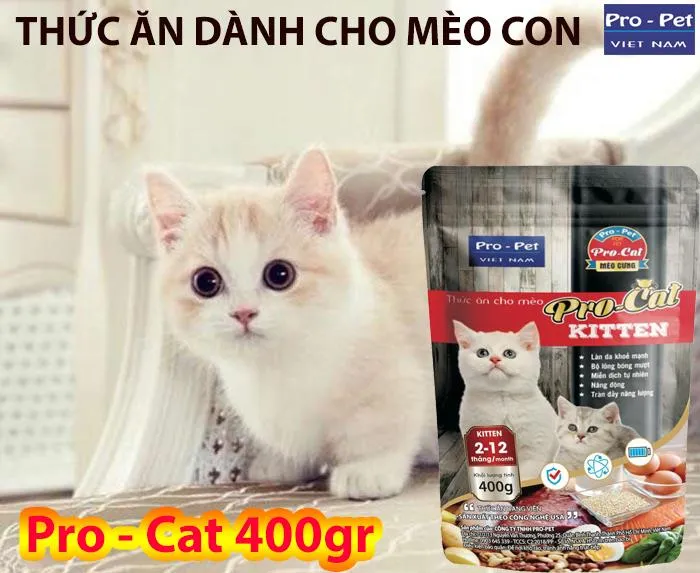 home banner