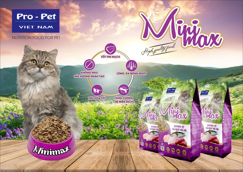home banner