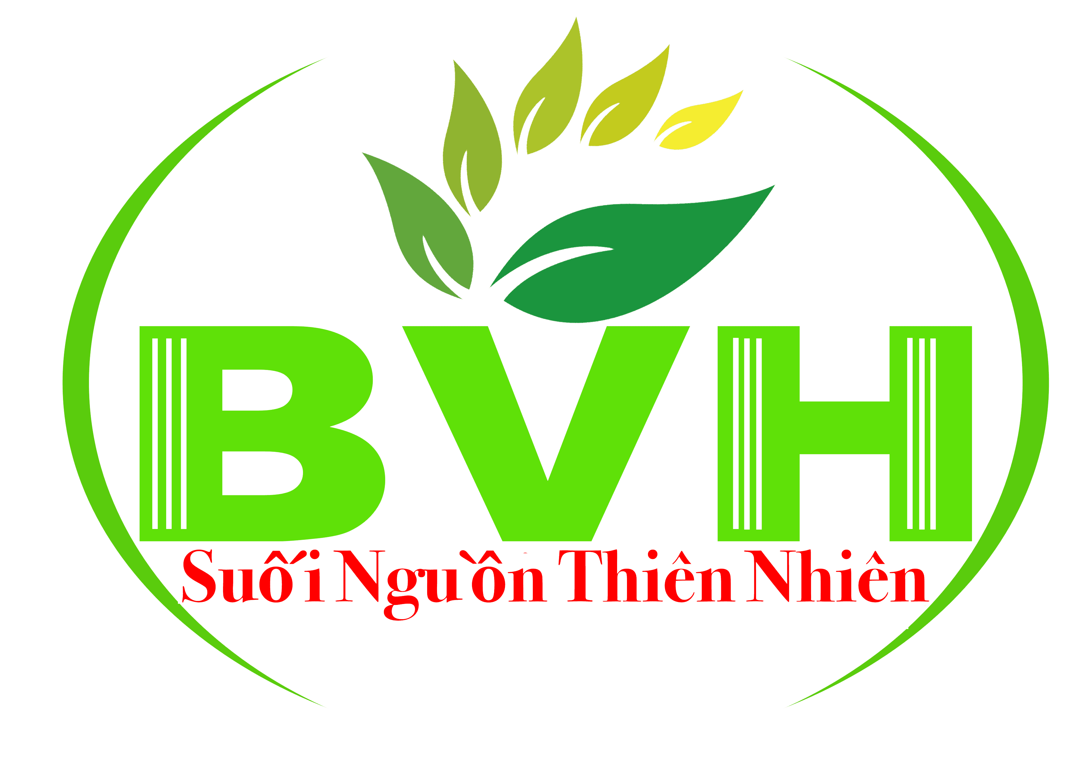 CÔNG TY CỔ PHẦN BVH VIỆT NAM
